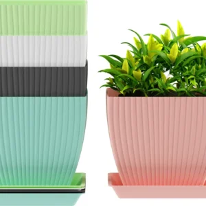 BELLERBIRD 6 inch Square Flower Pots Outdoor Indoor, Planters with Drainage Hole and Tray Plant Container Set (Pack of 5, Plastic)