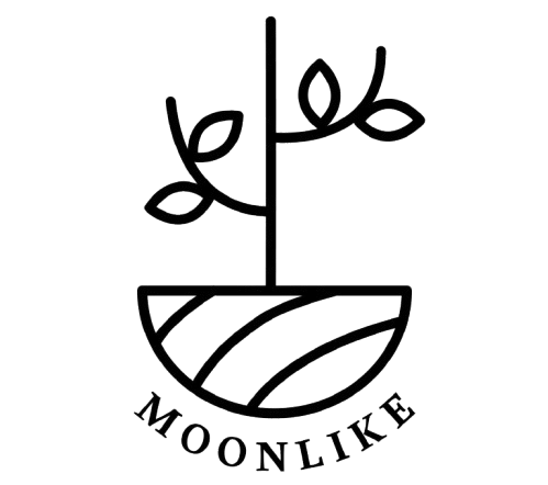 moonlike.in